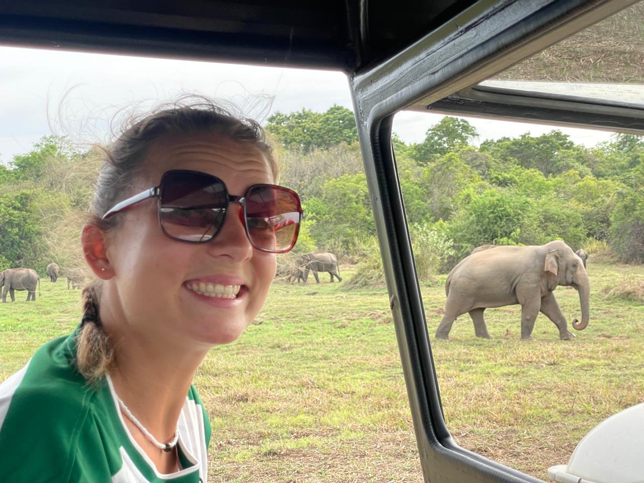 Elephant in Wasgamuwa